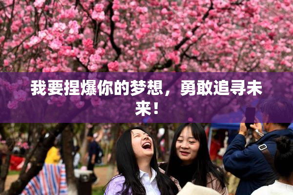 我要捏爆你的梦想，勇敢追寻未来！
