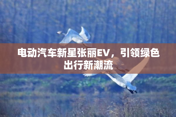 电动汽车新星张丽EV，引领绿色出行新潮流
