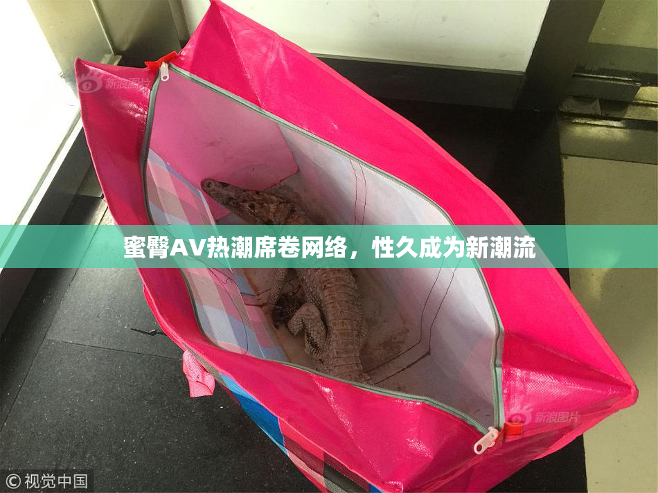 蜜臀AV热潮席卷网络，性久成为新潮流