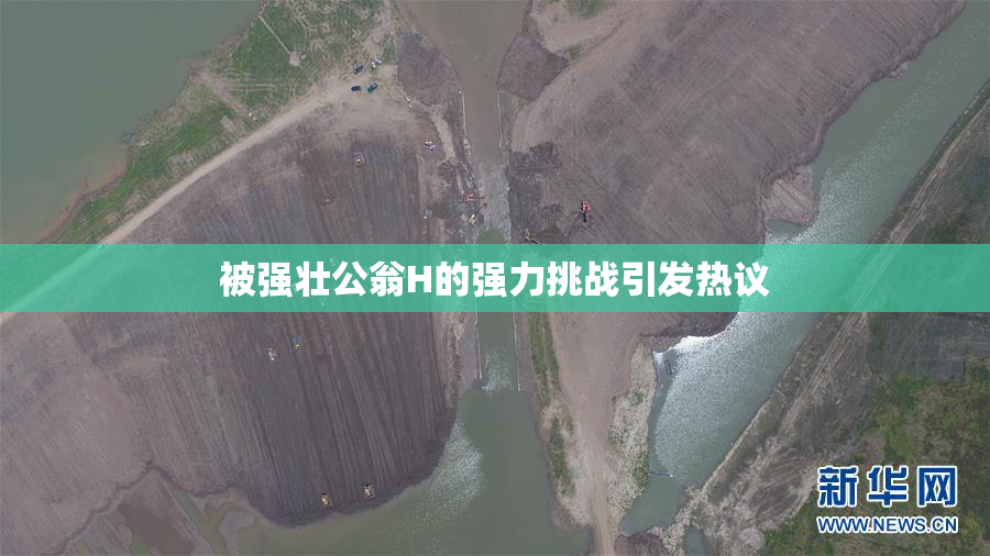 被强壮公翁H的强力挑战引发热议