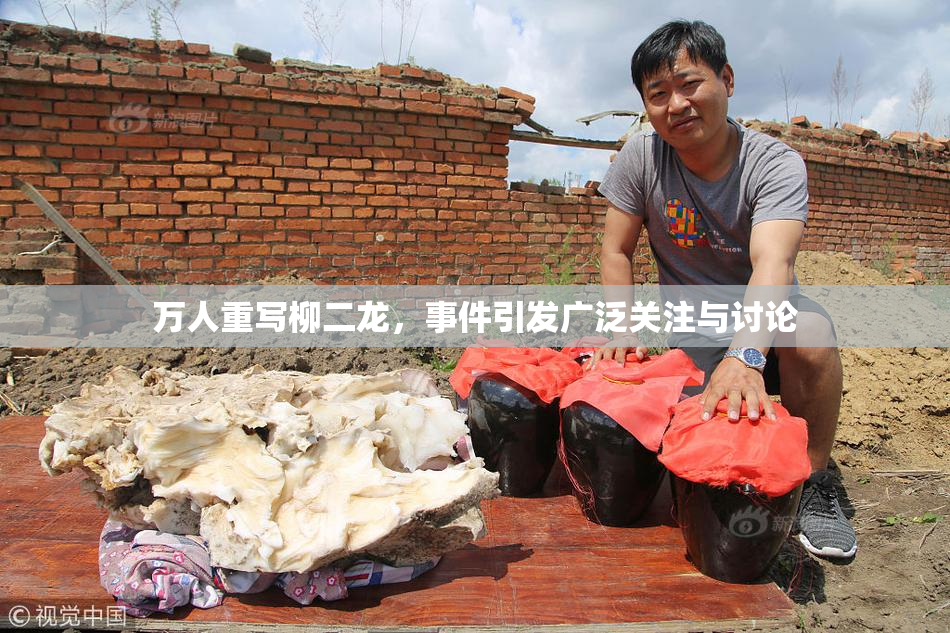 万人重写柳二龙，事件引发广泛关注与讨论