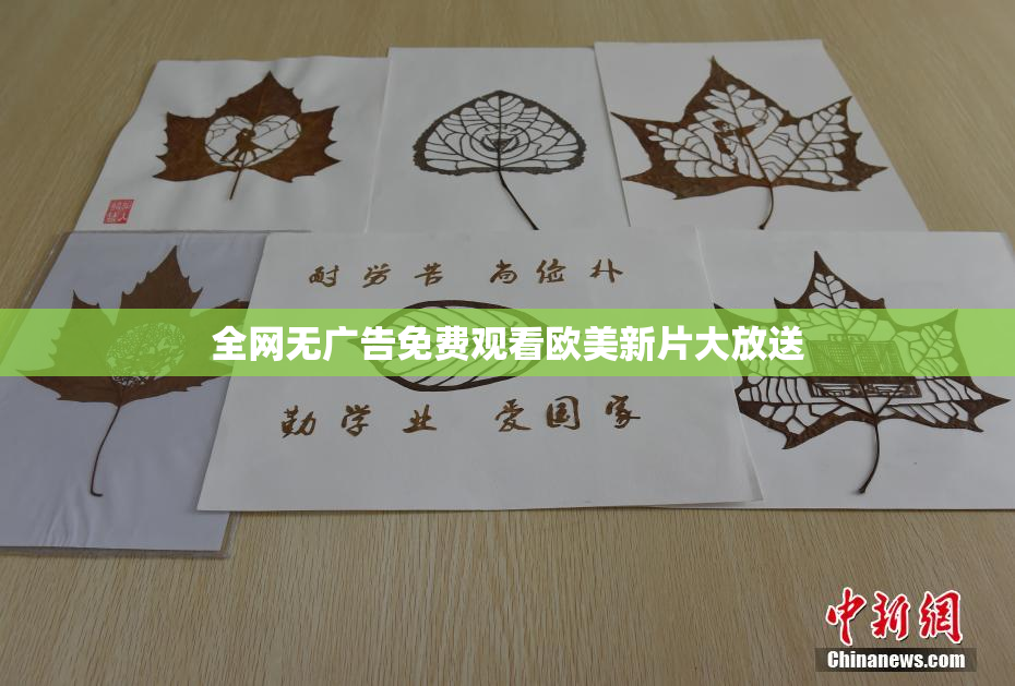 全网无广告免费观看欧美新片大放送