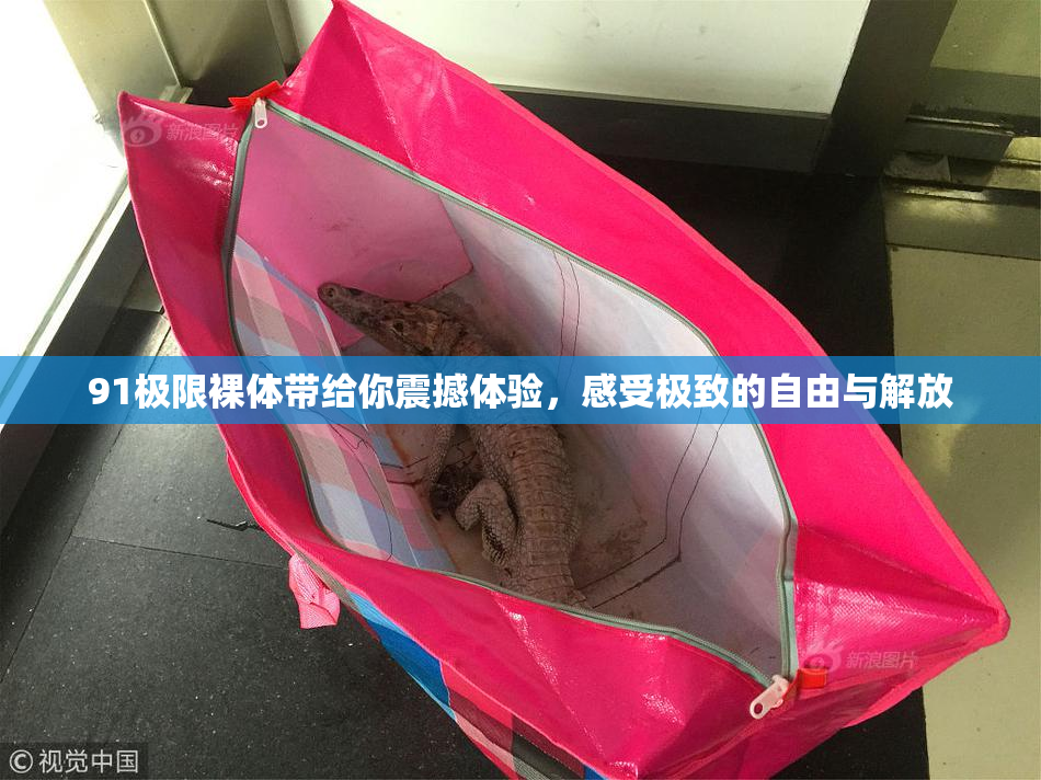 91极限裸体带给你震撼体验，感受极致的自由与解放