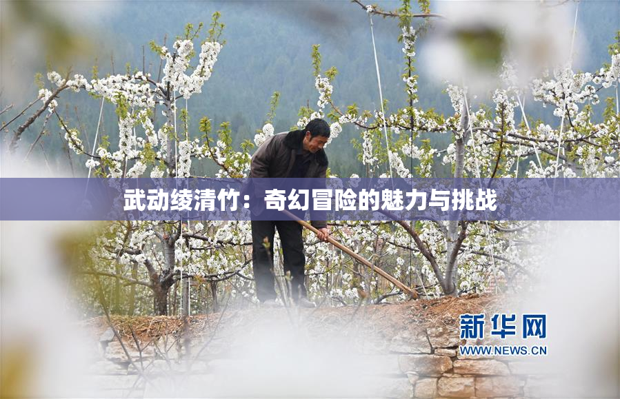 武动绫清竹：奇幻冒险的魅力与挑战