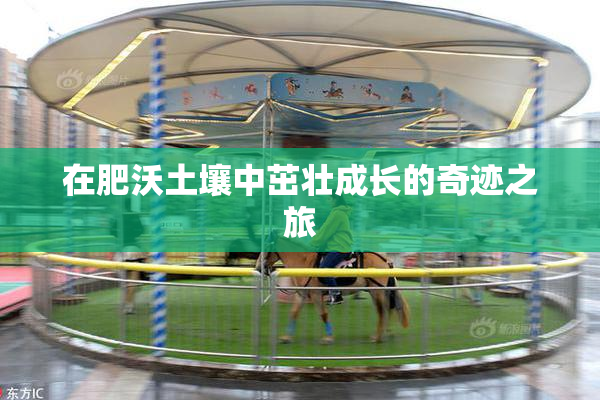 在肥沃土壤中茁壮成长的奇迹之旅