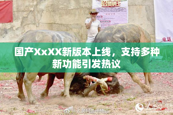 国产XxXX新版本上线，支持多种新功能引发热议