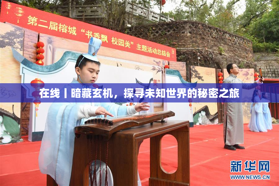 在线丨暗藏玄机，探寻未知世界的秘密之旅