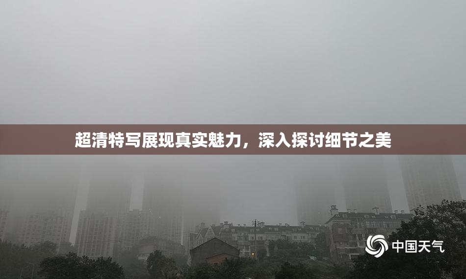 超清特写展现真实魅力，深入探讨细节之美