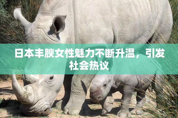 日本丰腴女性魅力不断升温，引发社会热议