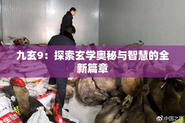 九玄9：探索玄学奥秘与智慧的全新篇章