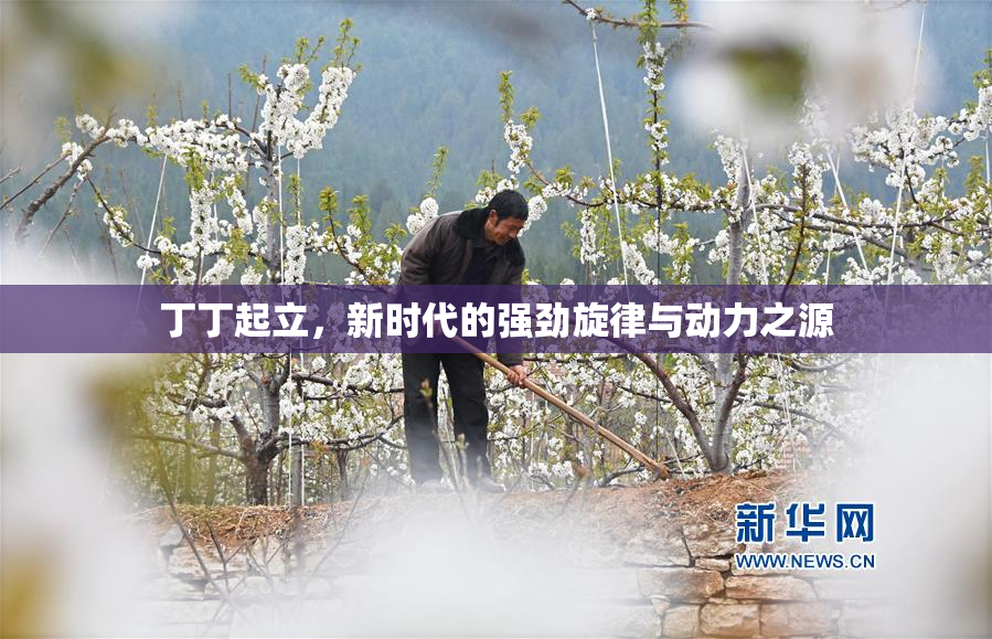 丁丁起立，新时代的强劲旋律与动力之源
