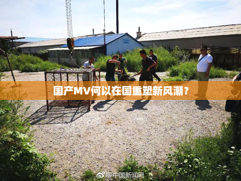 国产MV何以在国重塑新风潮？