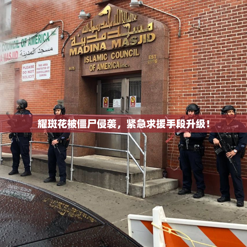 耀斑花被僵尸侵袭，紧急求援手段升级！