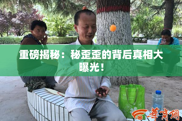 重磅揭秘：秘歪歪的背后真相大曝光！