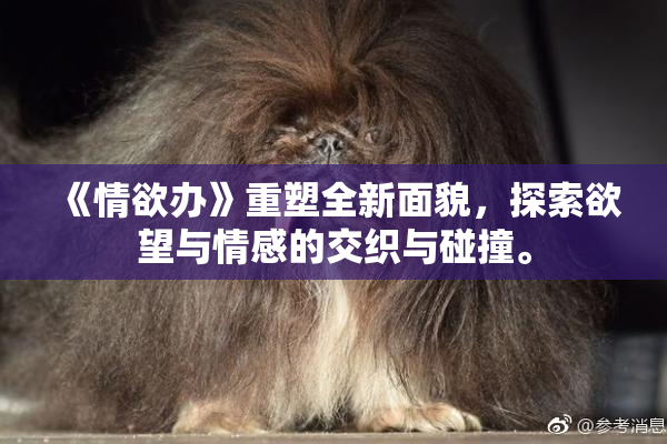 《情欲办》重塑全新面貌，探索欲望与情感的交织与碰撞。