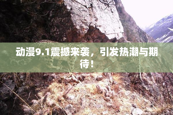 动漫9.1震撼来袭，引发热潮与期待！