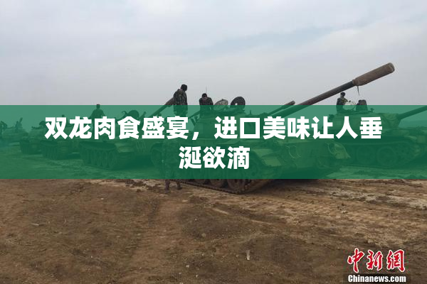 双龙肉食盛宴，进口美味让人垂涎欲滴
