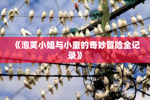 《泡芙小姐与小重的奇妙冒险全记录》