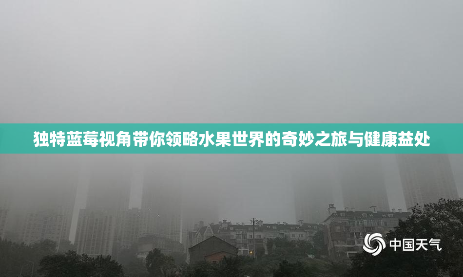 独特蓝莓视角带你领略水果世界的奇妙之旅与健康益处