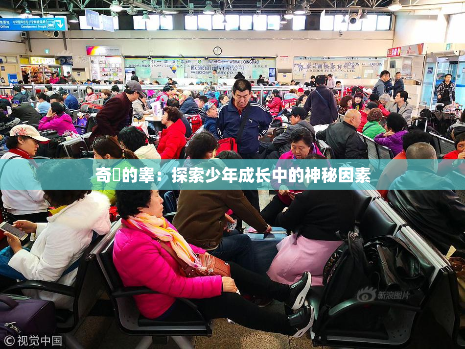 奇犽的睾：探索少年成长中的神秘因素