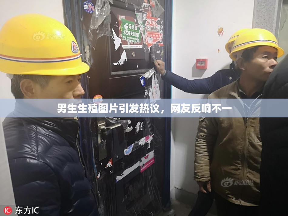 男生生殖图片引发热议，网友反响不一