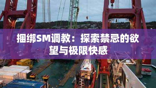 捆绑SM调教：探索禁忌的欲望与极限快感