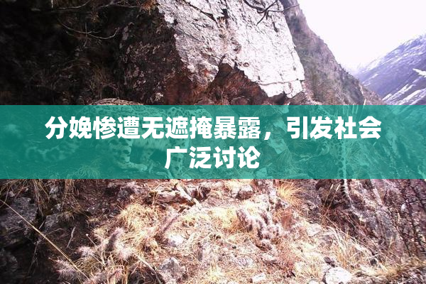 分娩惨遭无遮掩暴露，引发社会广泛讨论