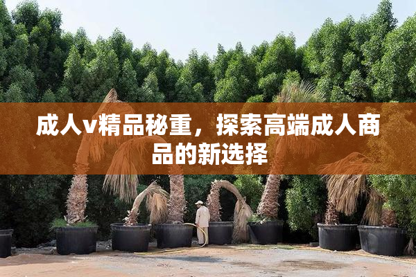 成人v精品秘重，探索高端成人商品的新选择