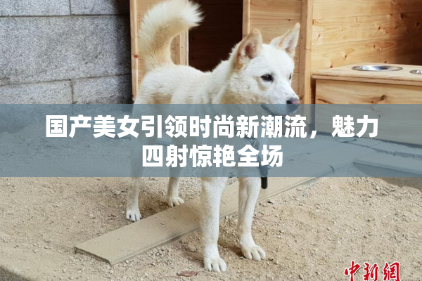 国产美女引领时尚新潮流，魅力四射惊艳全场