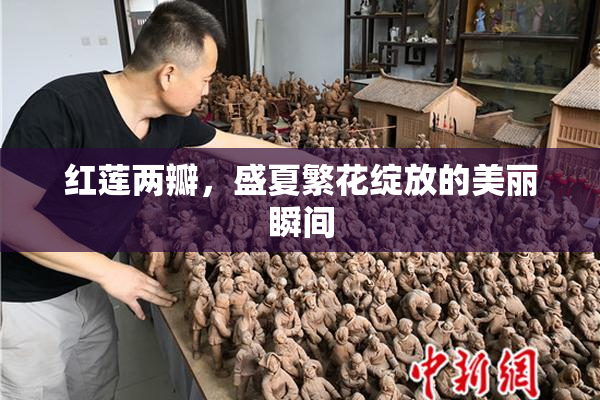红莲两瓣，盛夏繁花绽放的美丽瞬间