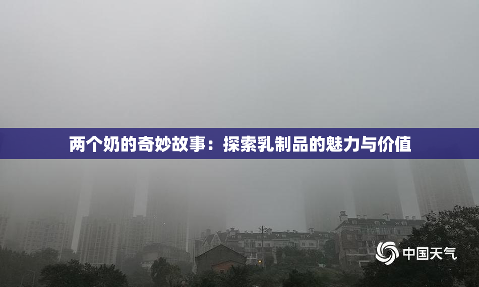 两个奶的奇妙故事：探索乳制品的魅力与价值
