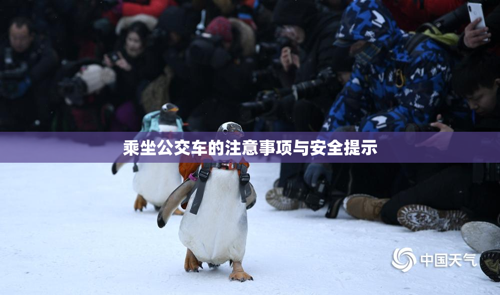 乘坐公交车的注意事项与安全提示