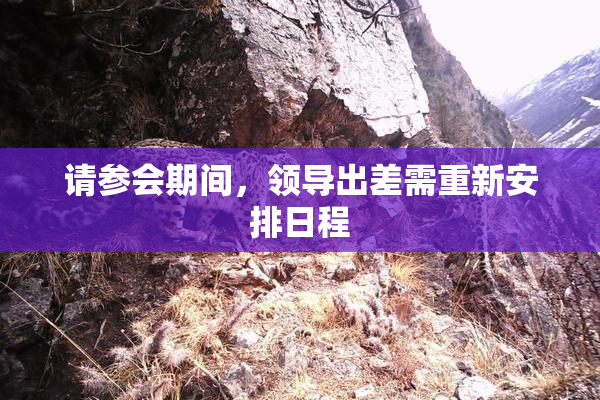 请参会期间，领导出差需重新安排日程