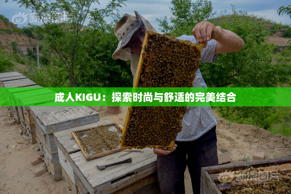 成人KIGU：探索时尚与舒适的完美结合