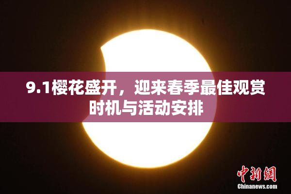 9.1樱花盛开，迎来春季最佳观赏时机与活动安排