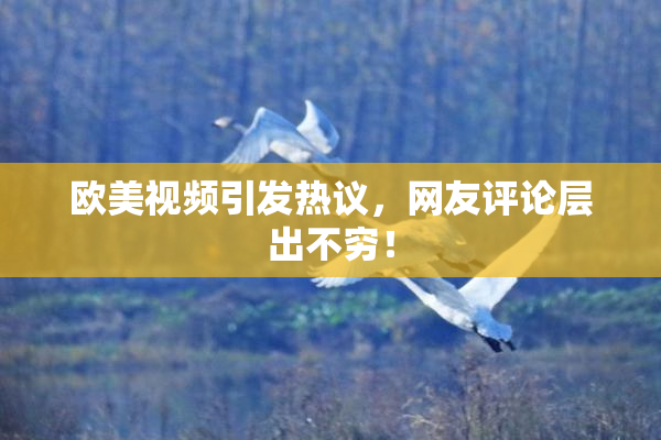 欧美视频引发热议，网友评论层出不穷！