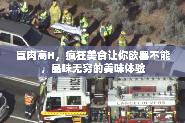 巨肉高H，疯狂美食让你欲罢不能，品味无穷的美味体验