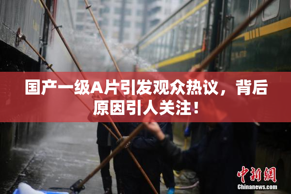 国产一级A片引发观众热议，背后原因引人关注！