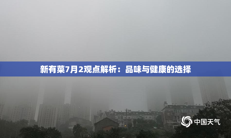新有菜7月2观点解析：品味与健康的选择