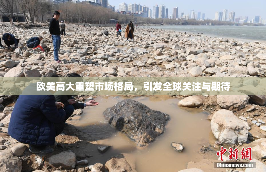 欧美高大重塑市场格局，引发全球关注与期待