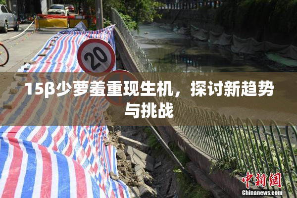15β少萝羞重现生机，探讨新趋势与挑战