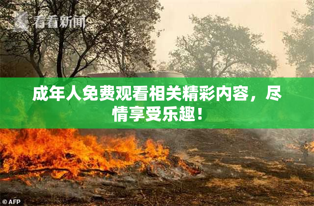 成年人免费观看相关精彩内容，尽情享受乐趣！