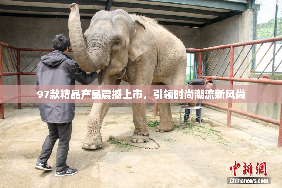 97款精品产品震撼上市，引领时尚潮流新风尚