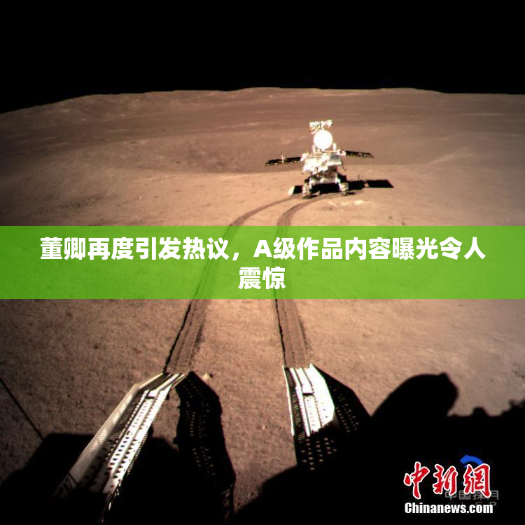董卿再度引发热议，A级作品内容曝光令人震惊