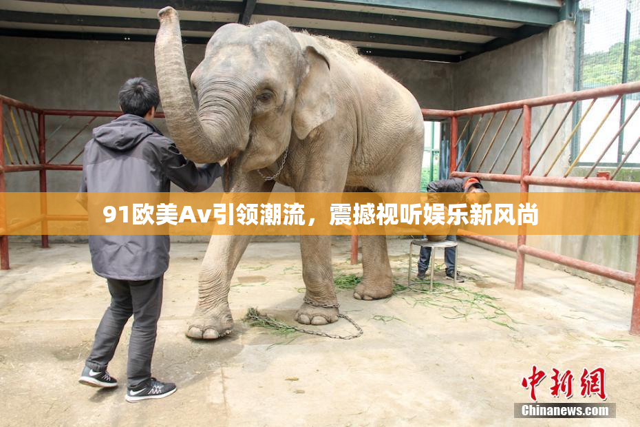91欧美Av引领潮流，震撼视听娱乐新风尚