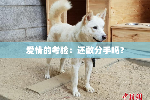 爱情的考验：还敢分手吗？