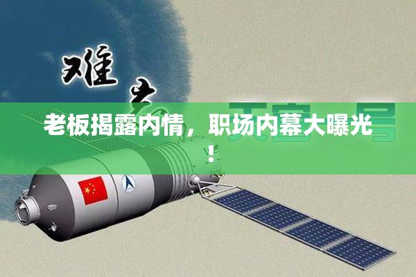 老板揭露内情，职场内幕大曝光！