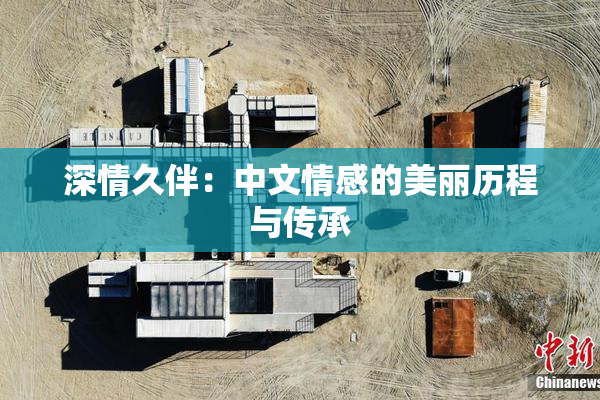 深情久伴：中文情感的美丽历程与传承