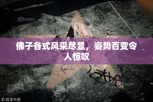 佛子各式风采尽显，姿势百变令人惊叹