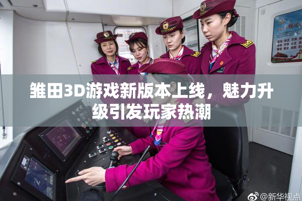 雏田3D游戏新版本上线，魅力升级引发玩家热潮